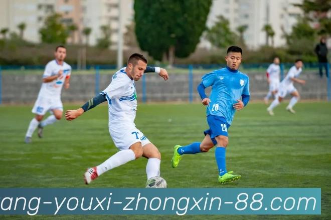 奖项证书